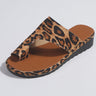 Calk leoparda